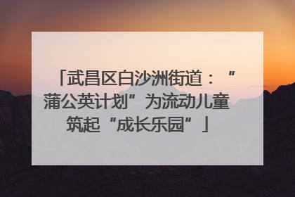 武昌区白沙洲街道：“蒲公英计划”为流动儿童筑起“成长乐园”
